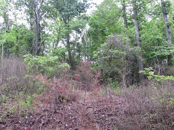 5th image of Cherry Blossom Ln