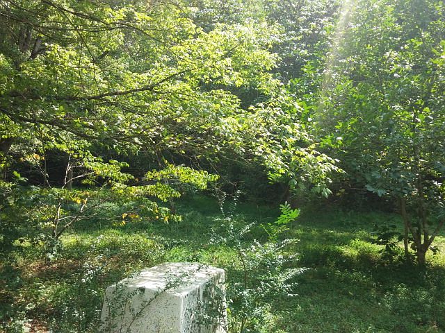 2nd image of 990 Rabbit Creek Rd