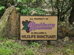 175 Misty Hollow Rd #52, Ellijay, GA 30536