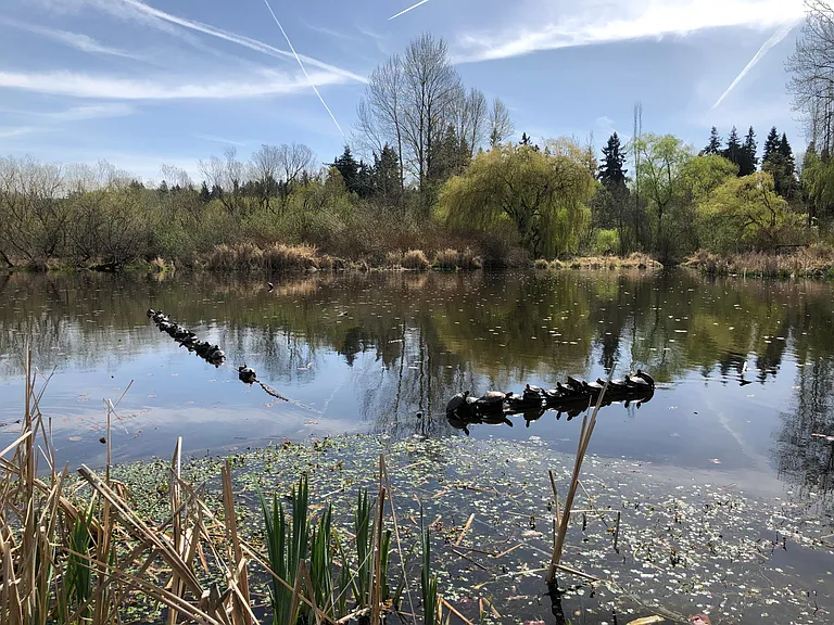 Juanita Bay Park