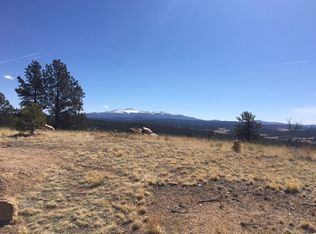 97 Peak View Cir, Florissant, CO 80816