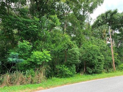 Westward Ho Ave, Mount plymouth, FL, 32776