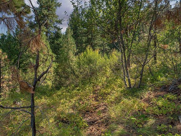 5th image of 1 Ponderosa Cir