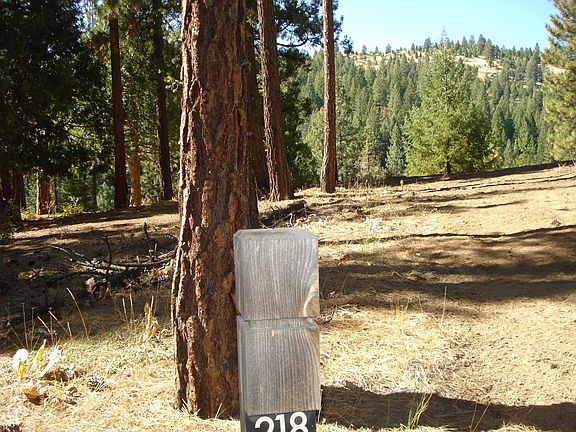 3rd image of 357 Big Grizzly