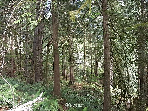2nd image of 0 Tr 1-B Hwy 101