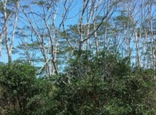 10th Ave LOT 882, Keaau, HI 96749