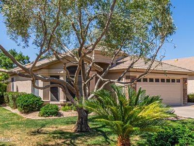 1424 W Mead Dr, Chandler, AZ, 85248