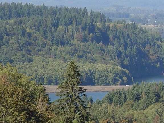 3rd image of 115 Sugar Pine Pl