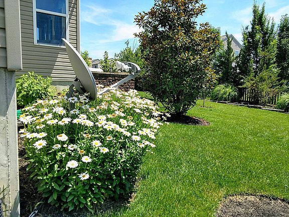 2nd image of 4332 Turtledove Way