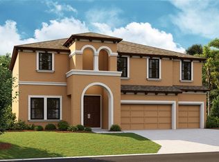 12821 Tortoise Shell Pl, Riverview, FL 33579