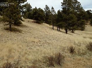 1755 Monarch Dr, Cripple Creek, CO 80813