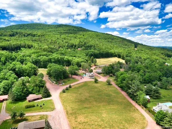 226 State Route 296, Windham, NY 12496