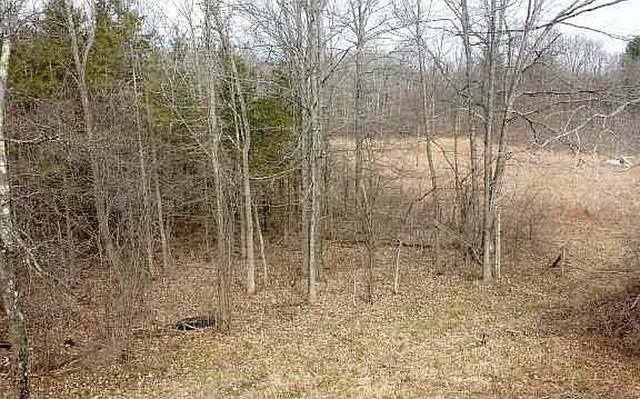 3rd image of 102 Lasher Ave