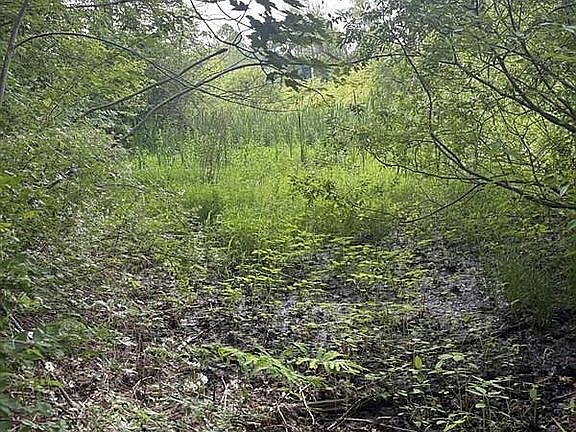 3rd image of 0 Worrell Rd