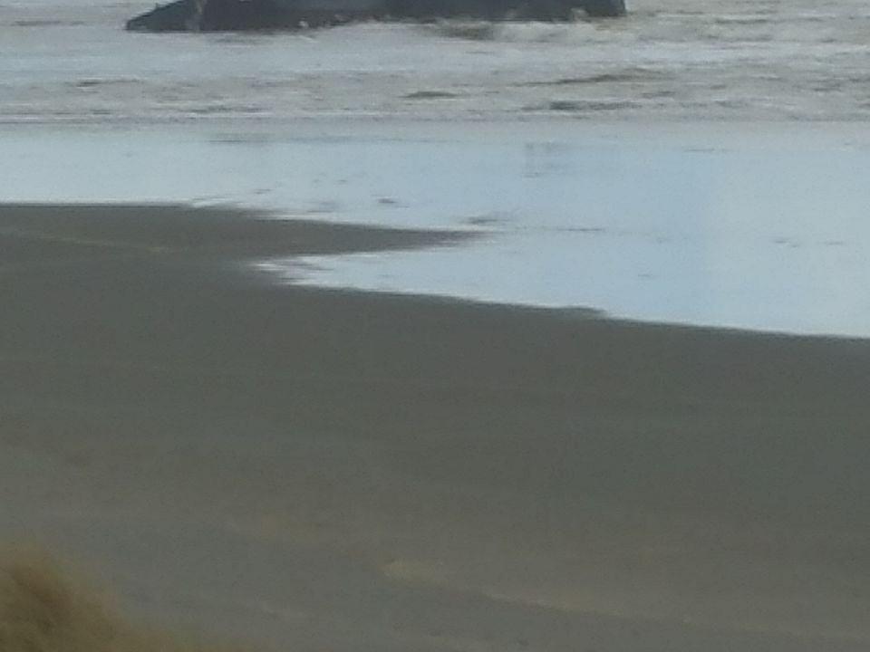 1st image of 1317 Ocean Shores Blvd SW #2