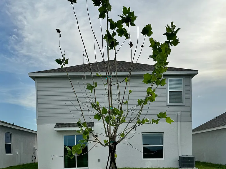 553 Reggie Rd — Photo 8