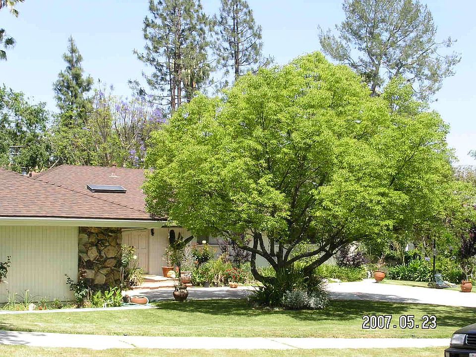 May 23, 2007