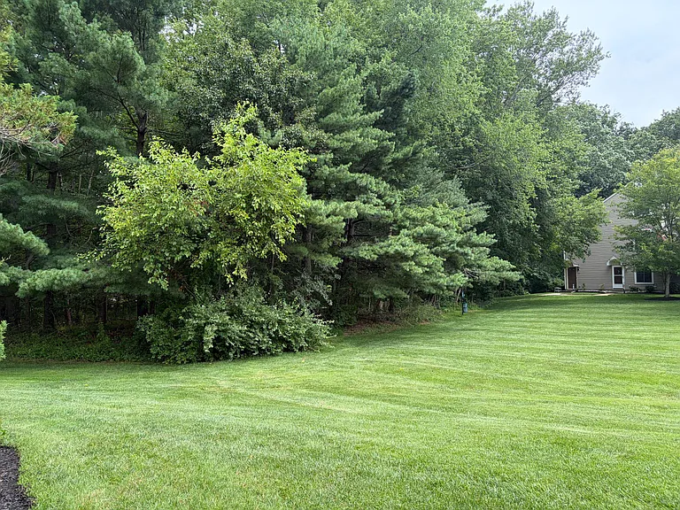 189 Collin Ct #189 — Photo 4