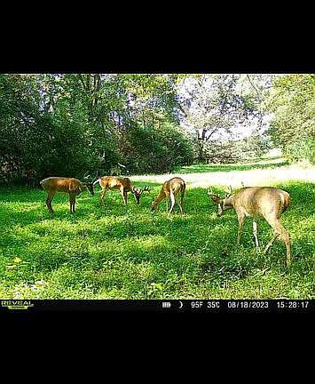 2nd image of 3248 County Road 92
