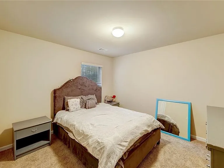 602 Dodson Lake Ct — Photo 8