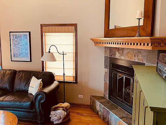 Wood or Gas Fireplace