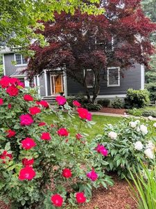 15 Major Hale Dr, Framingham, MA, 01701