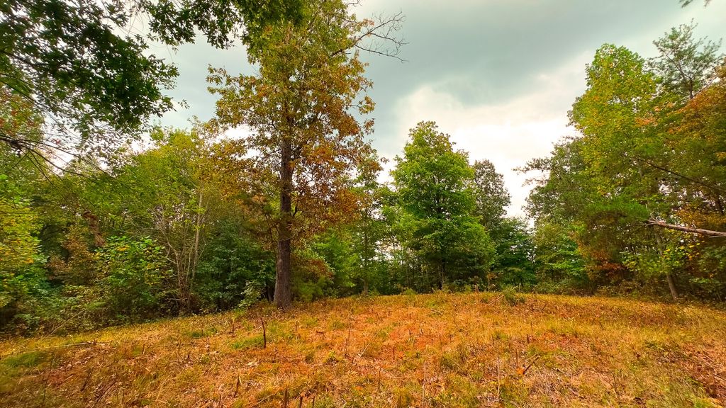 Real estate listing image