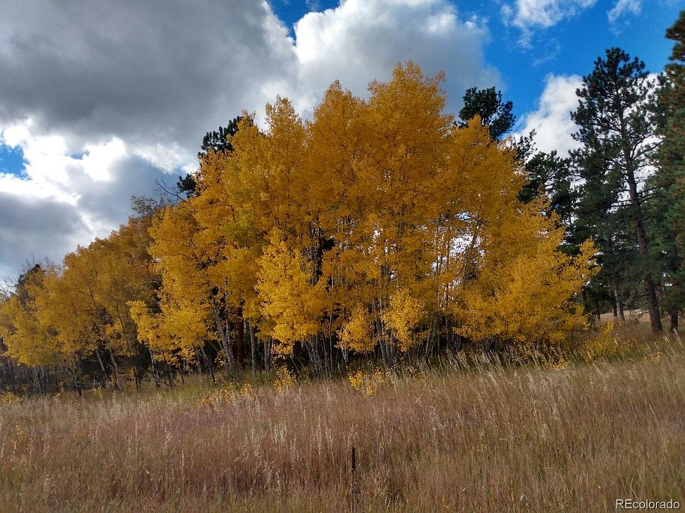 2nd image of Spring Creek Road