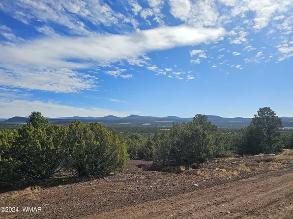 33 & 39 N County Rd #3312, Vernon, AZ 85940