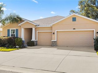 10433 Riverdale Rise Dr, Riverview, FL 33578