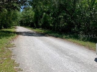 6369 Karwich Ave, Webster, FL 33597