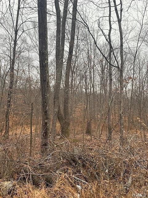 1st image of Twin Oaks Ln
