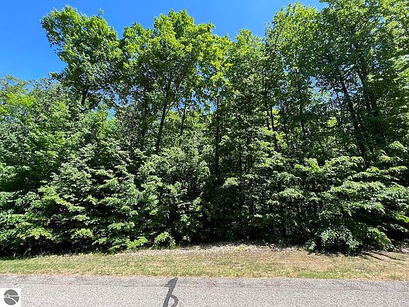 5th image of Raptor Run Lot 165