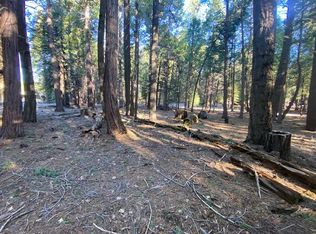 Douglas Fir Ct, Shingletown, CA 96088