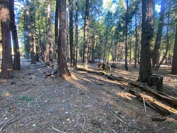 Douglas Fir Ct, Shingletown, CA 96088