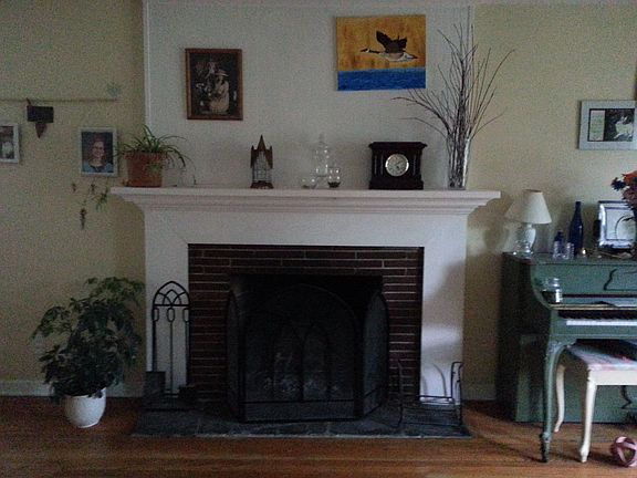 Wood Burning Fire Place