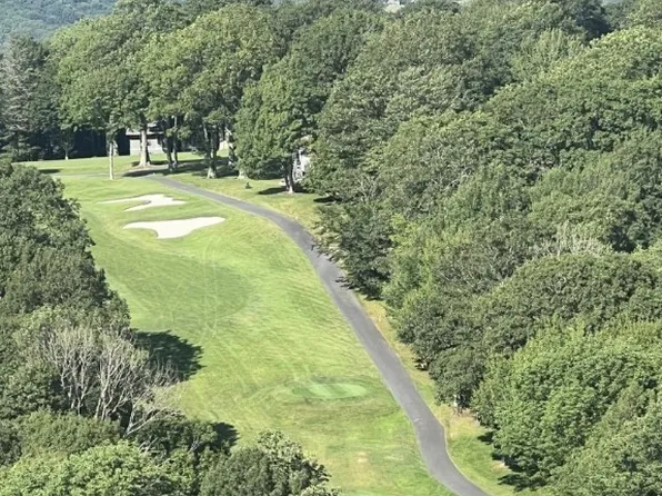 208 Pine Ridge Road, Beech Mountain, NC 28604