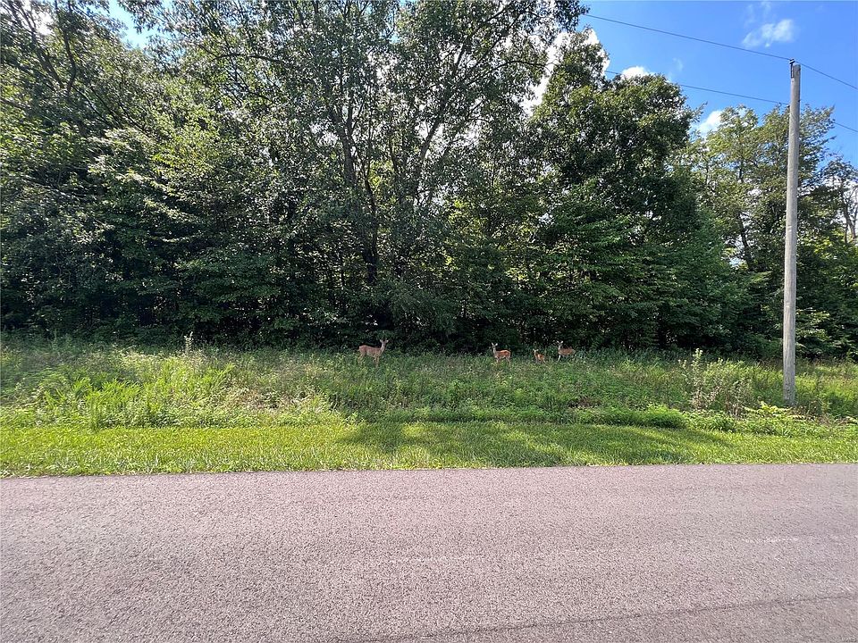 2nd image of LOT -1A Tyler Branch Rd