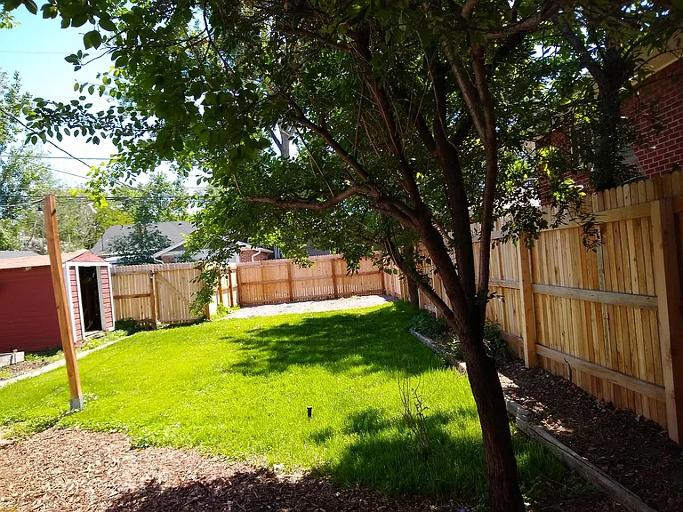 Back yard