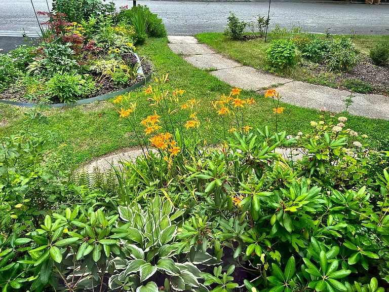 Beverly Rd — Photo 8