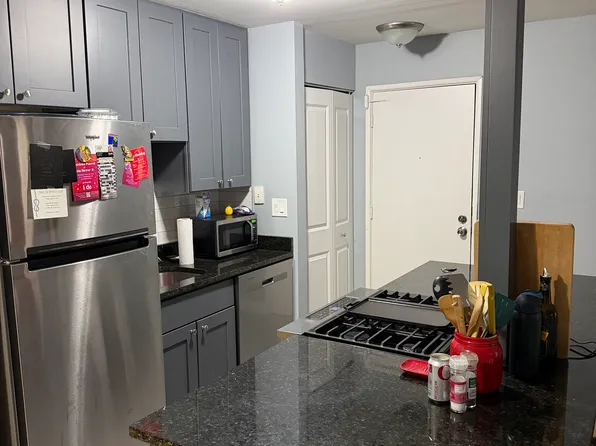 663-416 W Grace St, Chicago, IL