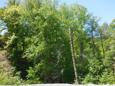 LOT 53 Little Cove Rd, Sevierville, TN, 37862