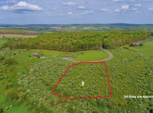 9 Pheasant Run Run, Oakland, MD 21550