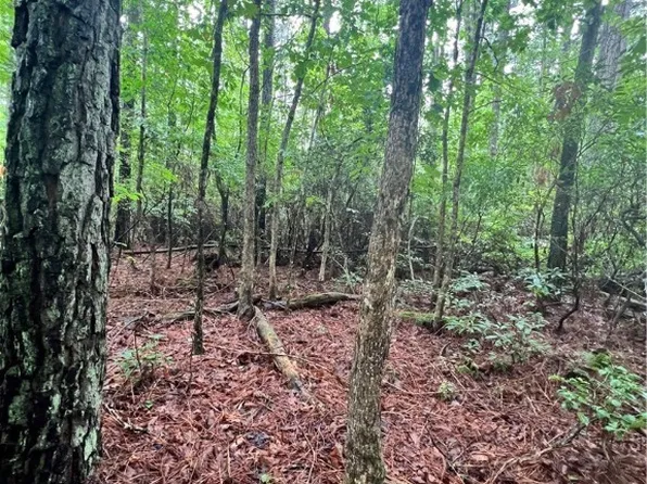Canaan Rd, King William, VA 23086