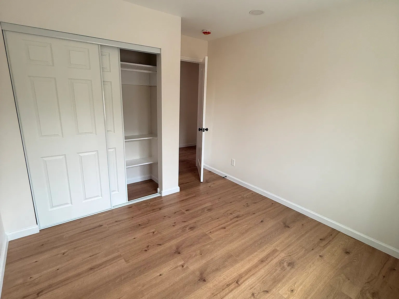 2 bed, 1200 sqft, $2,600 — Photo 4