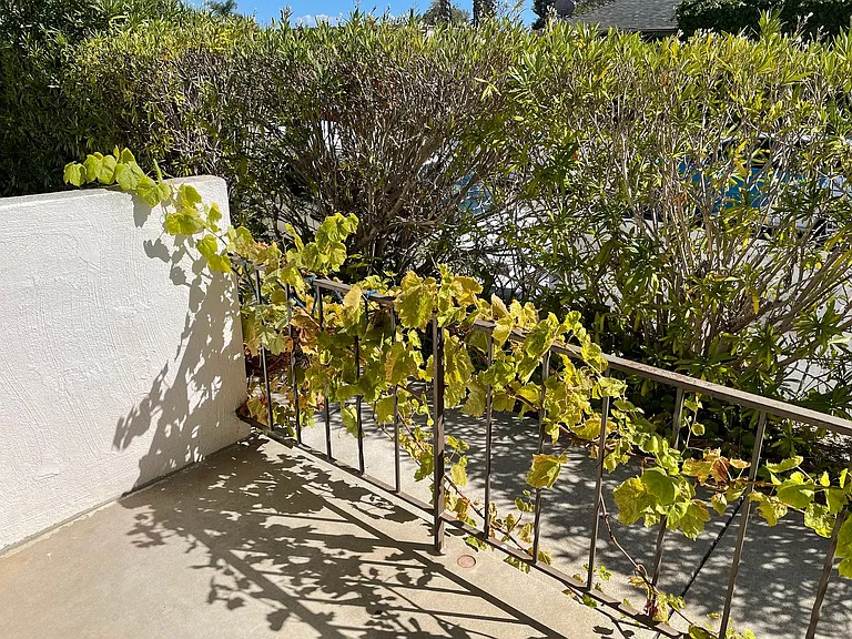 399 Ellwood Beach Dr — Photo 20