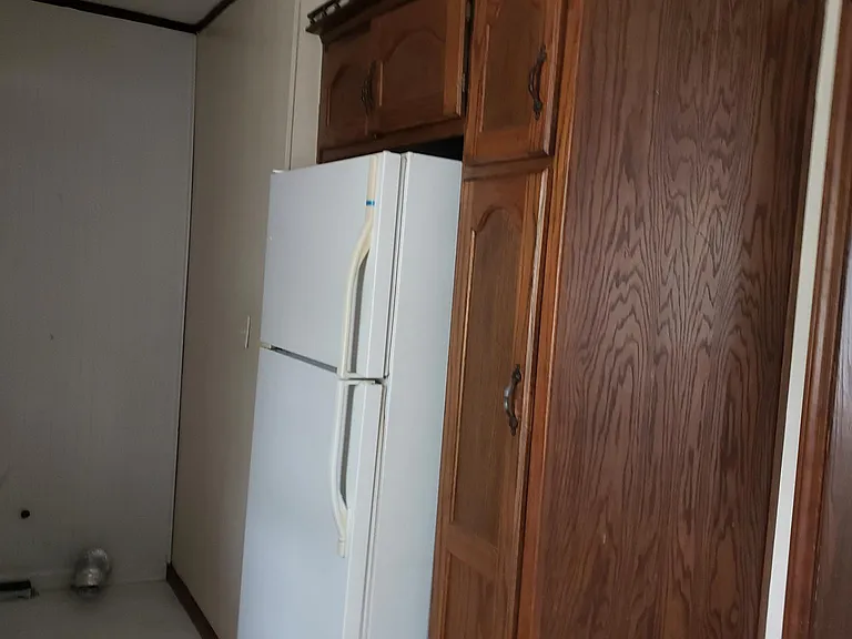 Kitchen pantry and refrigerator.
