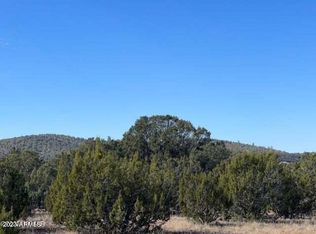 83 & 85 County Road 3197 #38, Vernon, AZ 85940