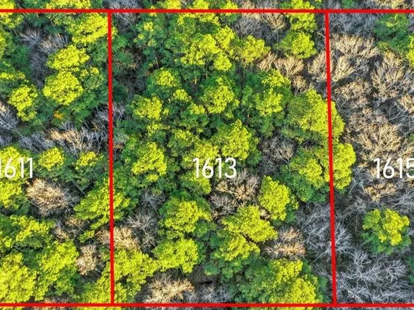 1613 Binford St, Chesapeake, VA 23322