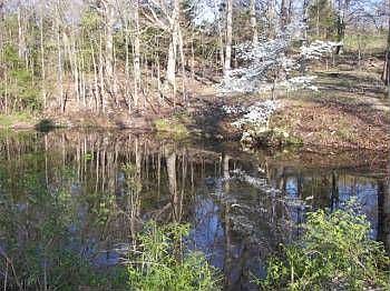 2nd image of 13963 N State Highway 125